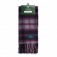 картинка Clans of Scotland Macpherson Hunting от магазина  Mykilt